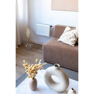 Радиатор стальной Lemax Compact 22 30х60 в интерьере