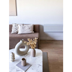 Радиатор стальной Lemax Compact 22 30х70 в интерьере