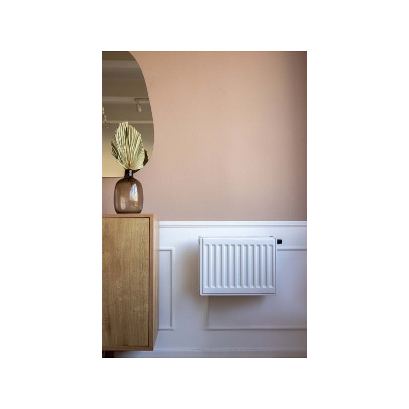 Радиатор стальной Lemax Valve Compact 11 50х100 на стене