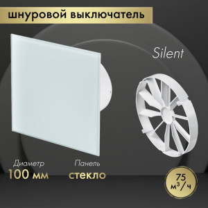 Вытяжной вентилятор Awenta System+ Silent 100W / KWS100W-PTG100-ZZ100