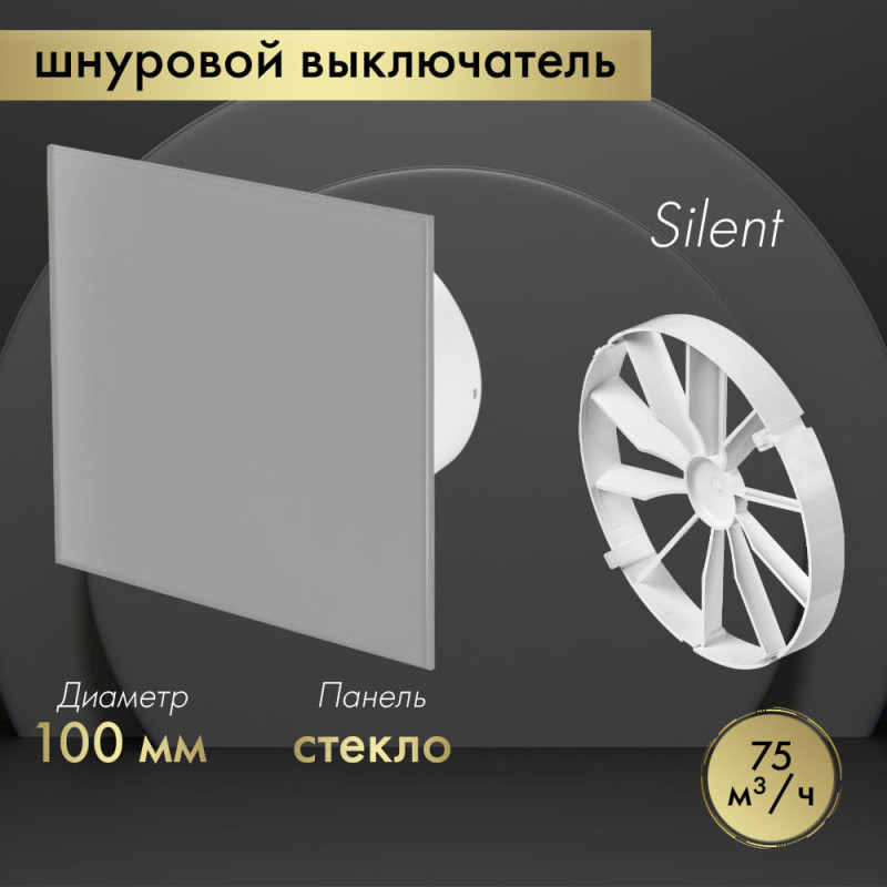 Вытяжной вентилятор Awenta System+ Silent 100W / KWS100W-PTGG100M-ZZ100