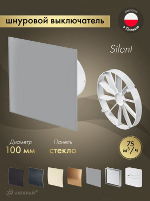 Вытяжной вентилятор Awenta System+ Silent 100W / KWS100W-PTGG100M-ZZ100