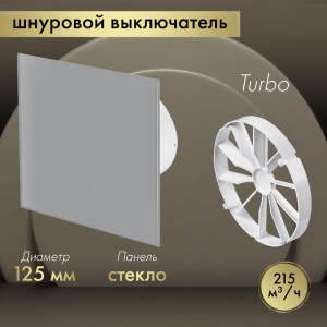 Вытяжной вентилятор Awenta System+ Turbo 125W / KWT125W-PTGG125M-ZZ125