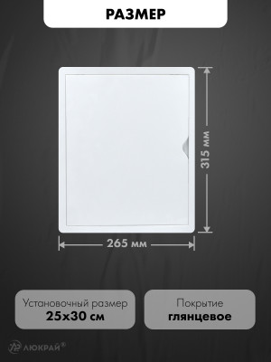 Люк ревизионный пластиковый airRoxy 02-807A (25х30) белый размер