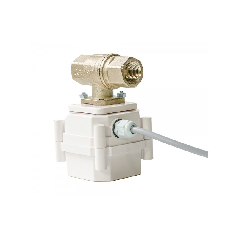 Комплект Gidrоlock Premium Radio G-Lock 3/4" ШЭП