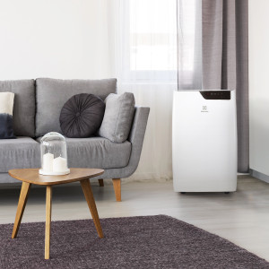Мобильный кондиционер Electrolux Bliss Art EACM-09 GT/N6 в интерьере (2)