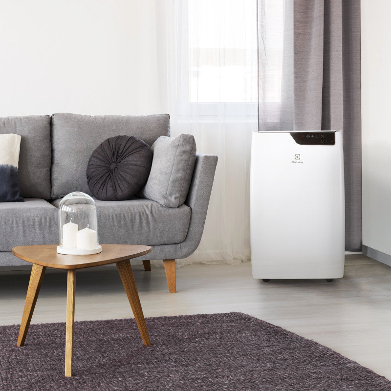 Мобильный кондиционер Electrolux Bliss Art EACM-12 GT/N6 в интерьере (1)