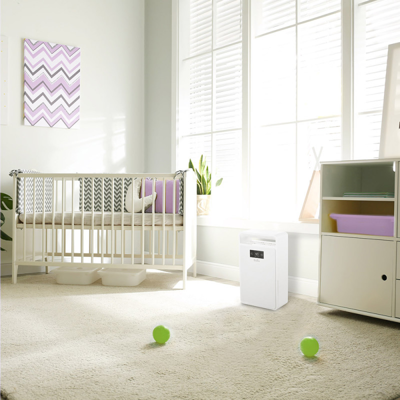 Осушитель воздуха Ballu BD1EL в интерьере