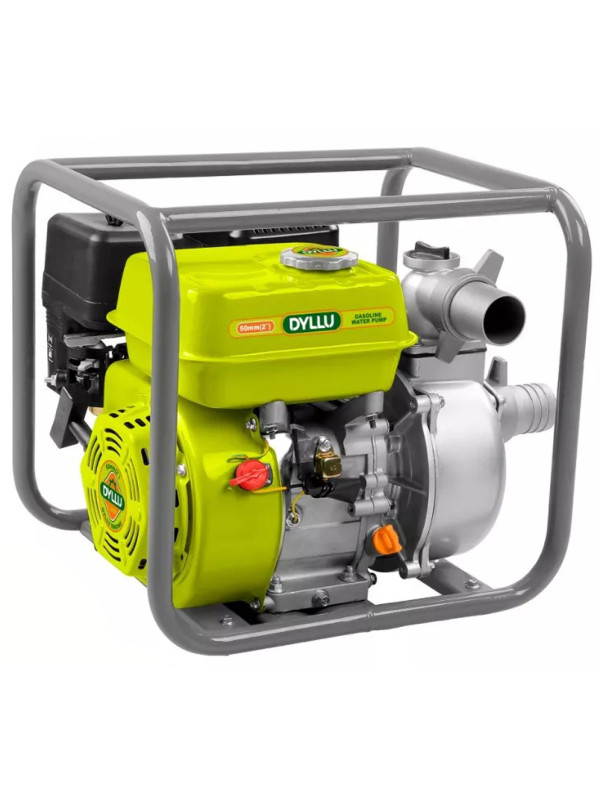 Мотопомпа DYLLU DTGW1A22