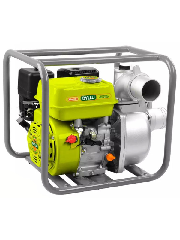 Мотопомпа DYLLU DTGW1A32