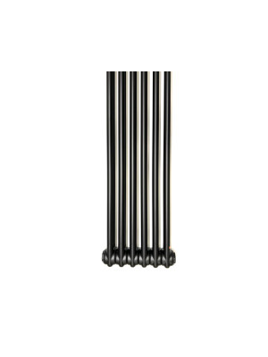 Радиатор стальной Arbonia 2180 БПП (6 секций) черный спереди