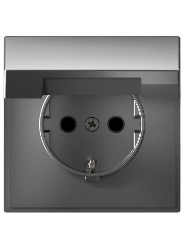 Розетка Systeme Electric ArtGallery GAL000946 сталь