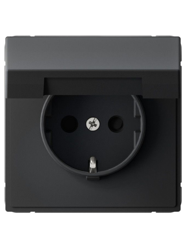 Розетка Systeme Electric ArtGallery GAL001046S карбон