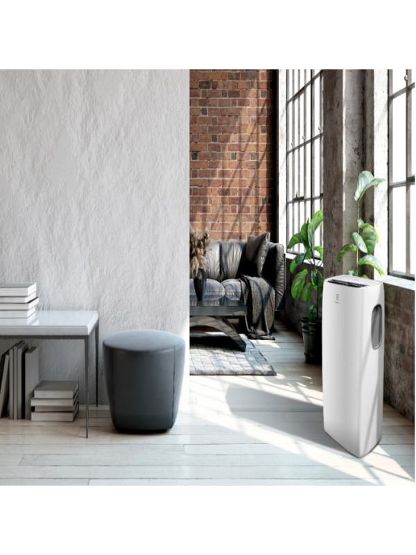 Мобильный кондиционер Electrolux EACM-11 CL/N3 в интерьере 2.0