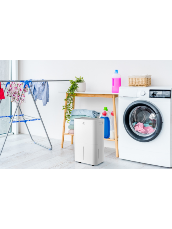 Осушитель воздуха Royal Clima RD-PC25-E в интерьере