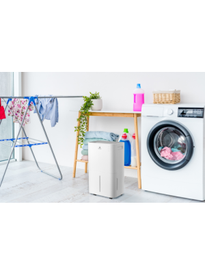 Осушитель воздуха Royal Clima RD-PC25-E в интерьере