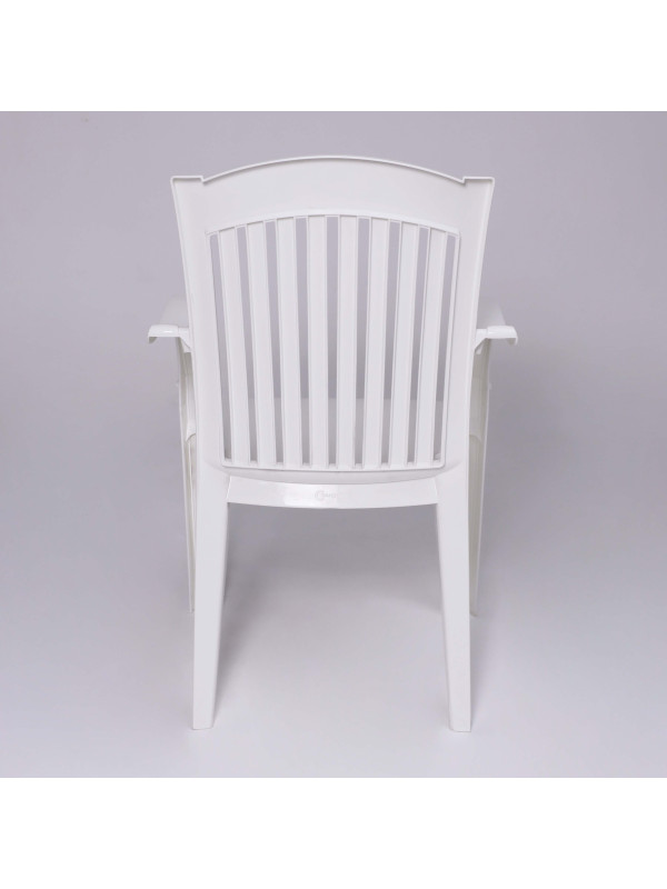 Стул садовый Стандарт Пластик Групп №7 "Премиум-1" белый сзади