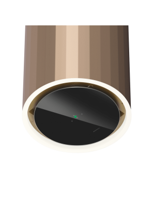 Вытяжка Maunfeld Adelaide 39 Wall Gold снизу