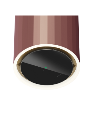 Вытяжка Maunfeld Adelaide 39 Wall Rose Gold снизу