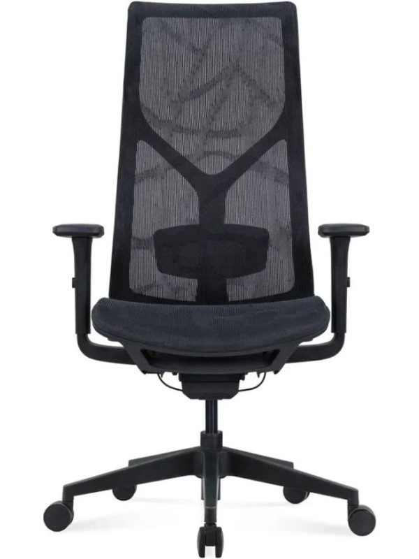 Кресло компьютерное SitZone CH-283A-P1 черный вид спереди