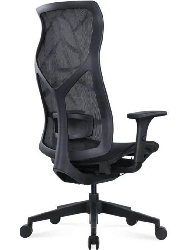 Кресло компьютерное SitZone CH-283A-P1 черный вид сбоку и вид сзади