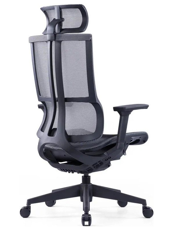 Кресло компьютерное SitZone E-303-001A-P1-BK черный вид сбоку и сзади