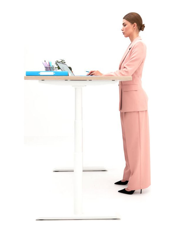 Стол письменный WellDesk WDE Evolution белый/пепел работа стоя