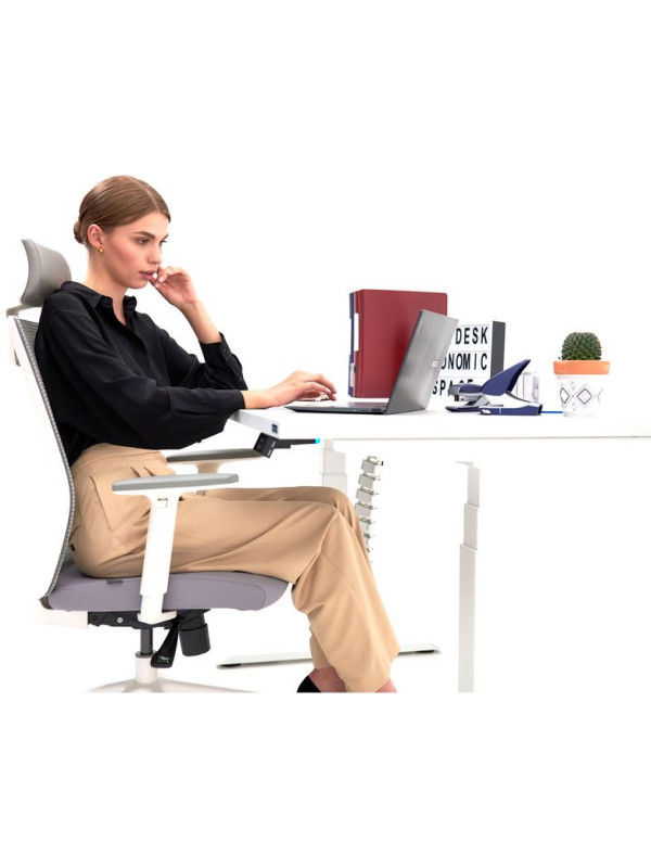 Стол письменный WellDesk WDE Evolution белый/пепел работа