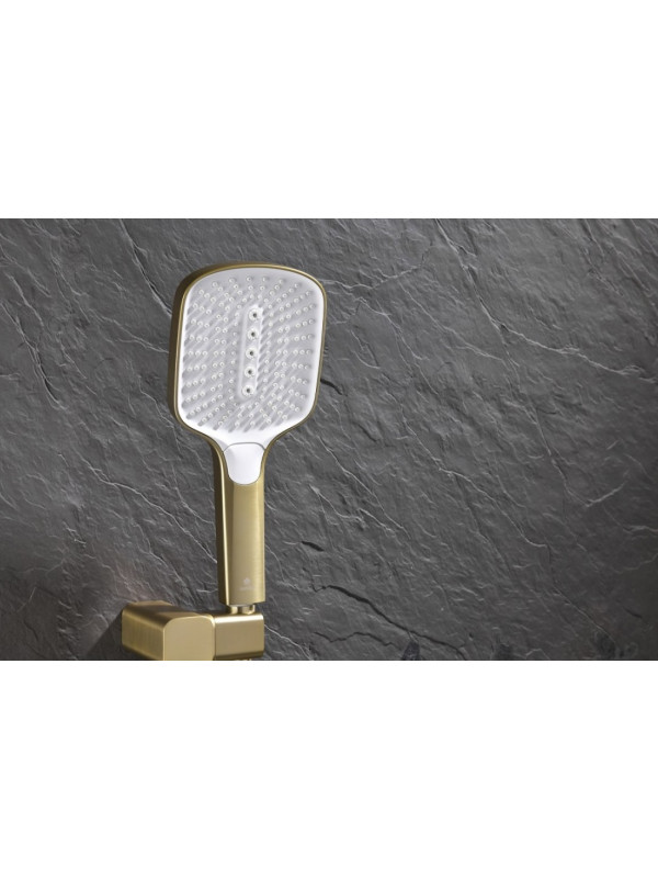 Душевая система Ganzer GZ12165-S ручной душ