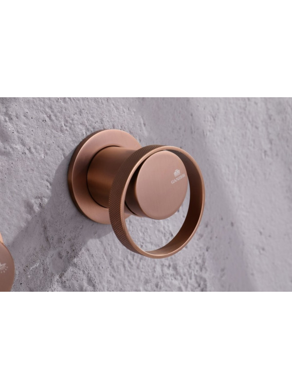 Душевая система Ganzer GZ19165-R смеситель (1)