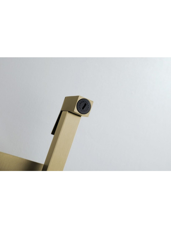 Смеситель Ganzer GZ01157 матовое золото интерьер