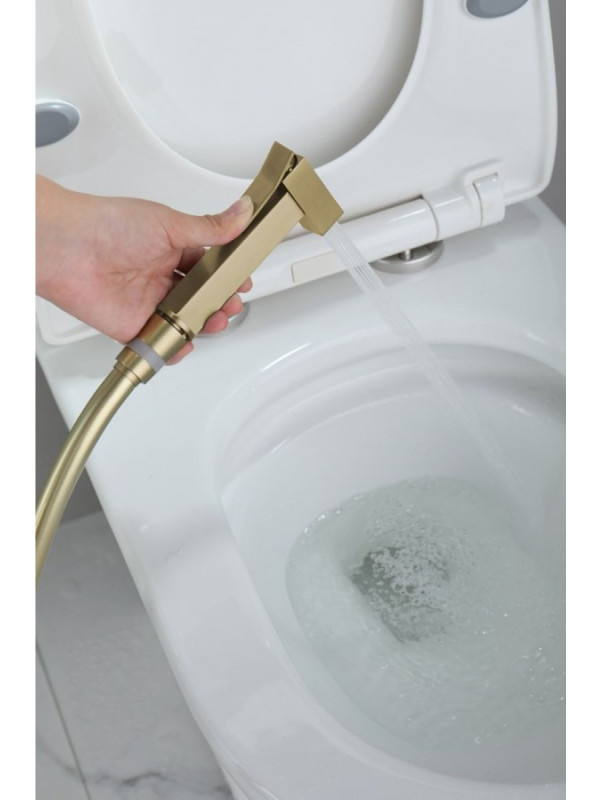 Смеситель Ganzer GZ01157 матовое золото интерьер 12