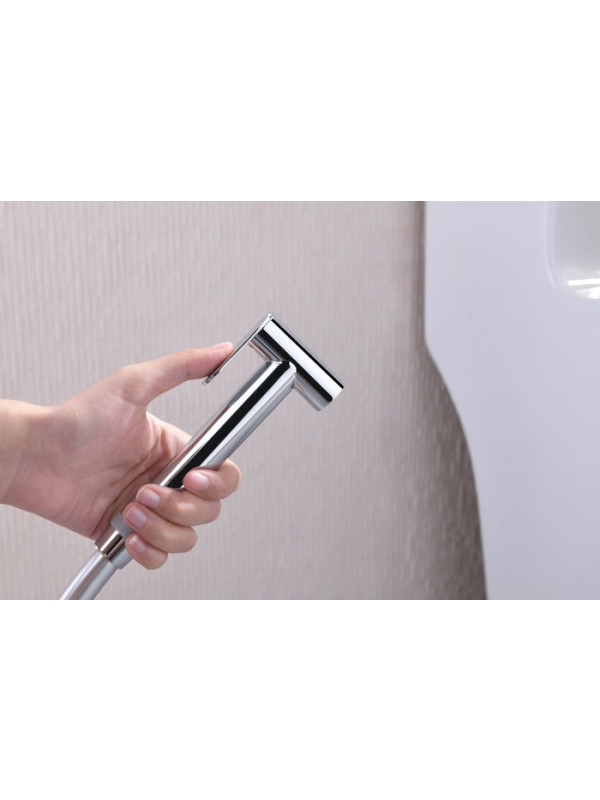 Смеситель Ganzer GZ02157 хром душ 2