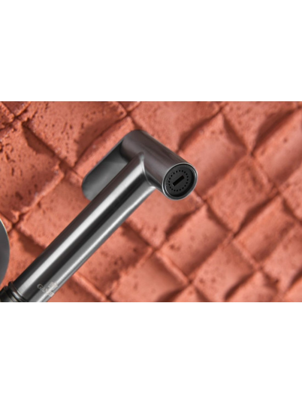 Смеситель Ganzer GZ02157 оружейная сталь интерьер 4