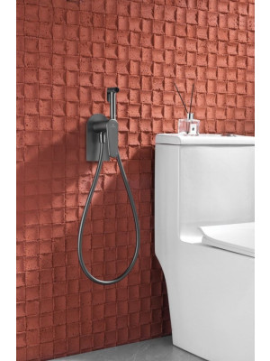 Смеситель Ganzer GZ02157 оружейная сталь интерьер