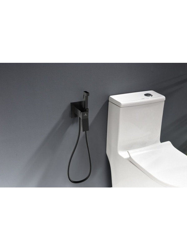 Смеситель Ganzer GZ05157 черный 2