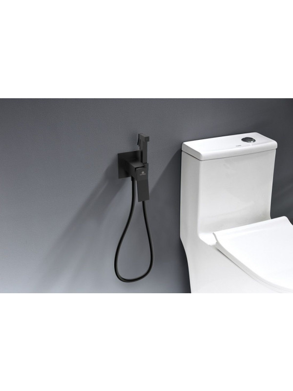 Смеситель Ganzer GZ05157 черный 4