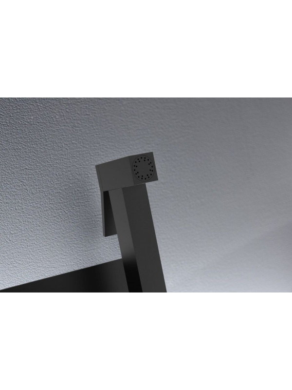 Смеситель Ganzer GZ05157 черный 6