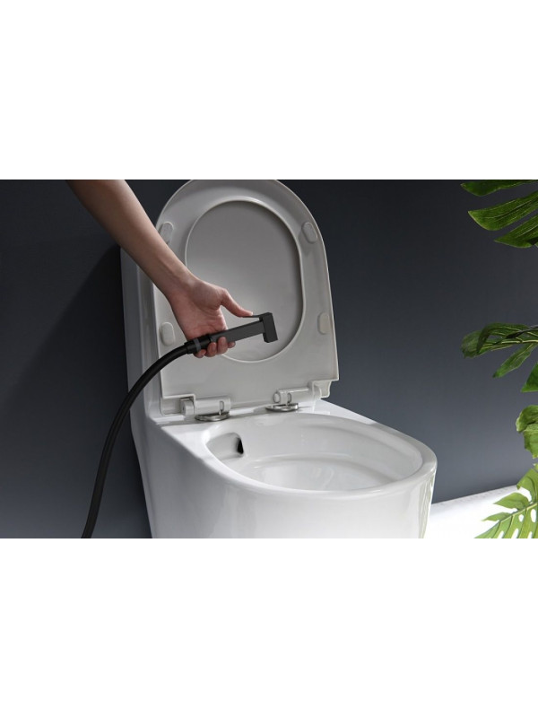 Смеситель Ganzer GZ05157 черный 12