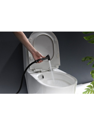 Смеситель Ganzer GZ05157 черный 13