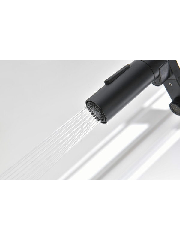 Смеситель Ganzer GZ05126-C черный 7