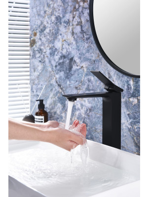 Смеситель Ganzer GZ05112-C черный 8