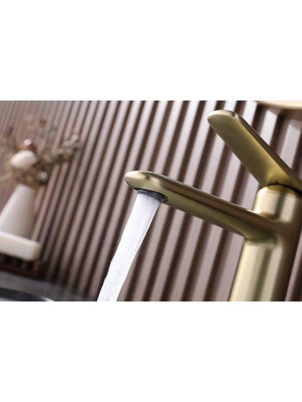 Смеситель Ganzer GZ02111-S матовое золото 10