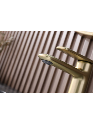 Смеситель Ganzer GZ02111-S матовое золото 4