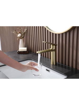 Смеситель Ganzer GZ02111-S матовое золото 14