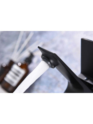 Смеситель Ganzer GZ05111 черный 10