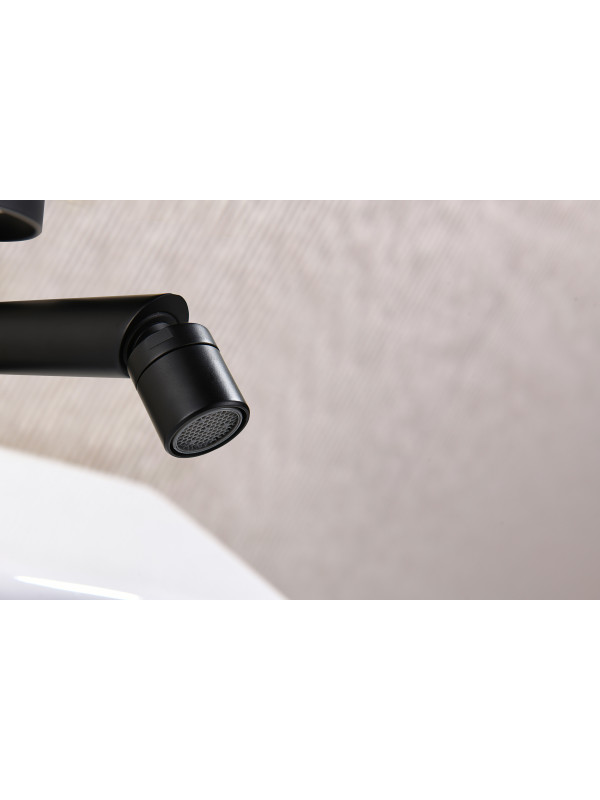 Смеситель Ganzer GZ19151-C черный 6