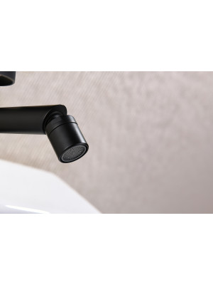 Смеситель Ganzer GZ19151-C черный 6