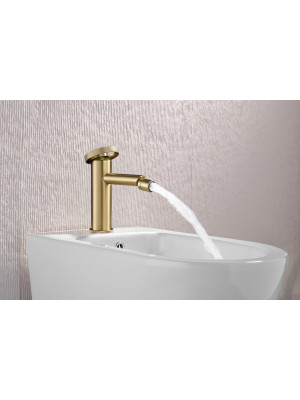 Смеситель Ganzer GZ19151-S матовое золото 2