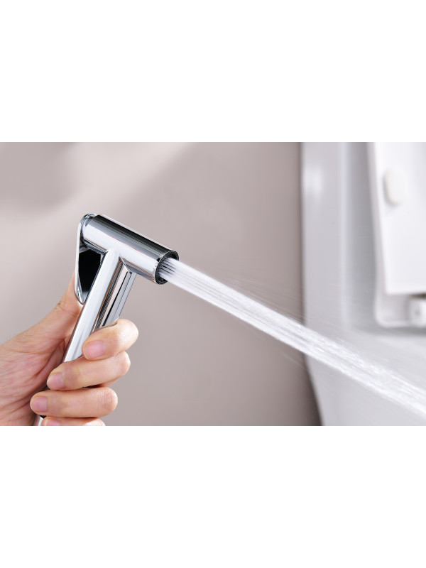 Гигиенический душ Ganzer GZ06157 хром 8